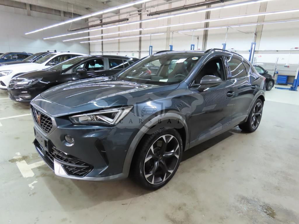 Cupra Formentor 2.0 TSI 2022