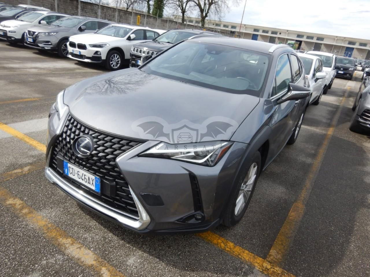Lexus UX Business 2020