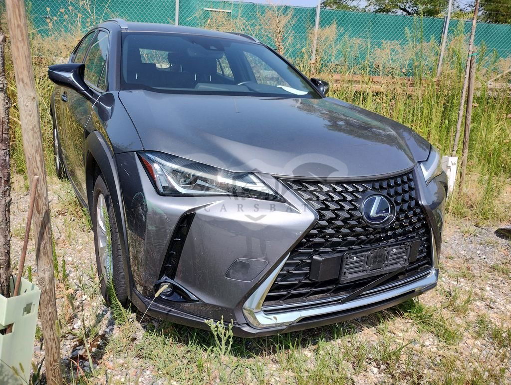 Lexus UX 250h Business 2020