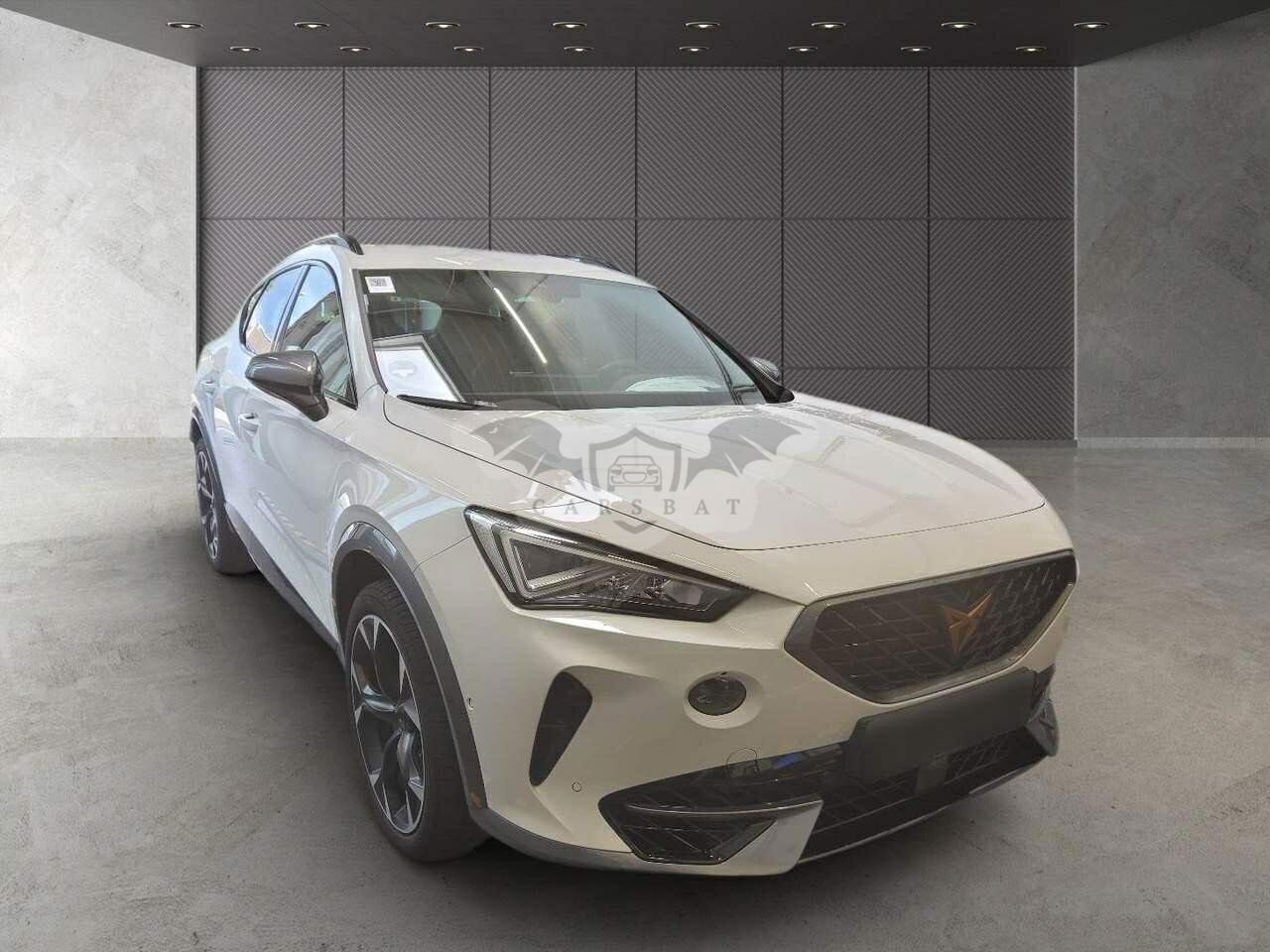 Cupra Formentor 2.0 TSI 2021