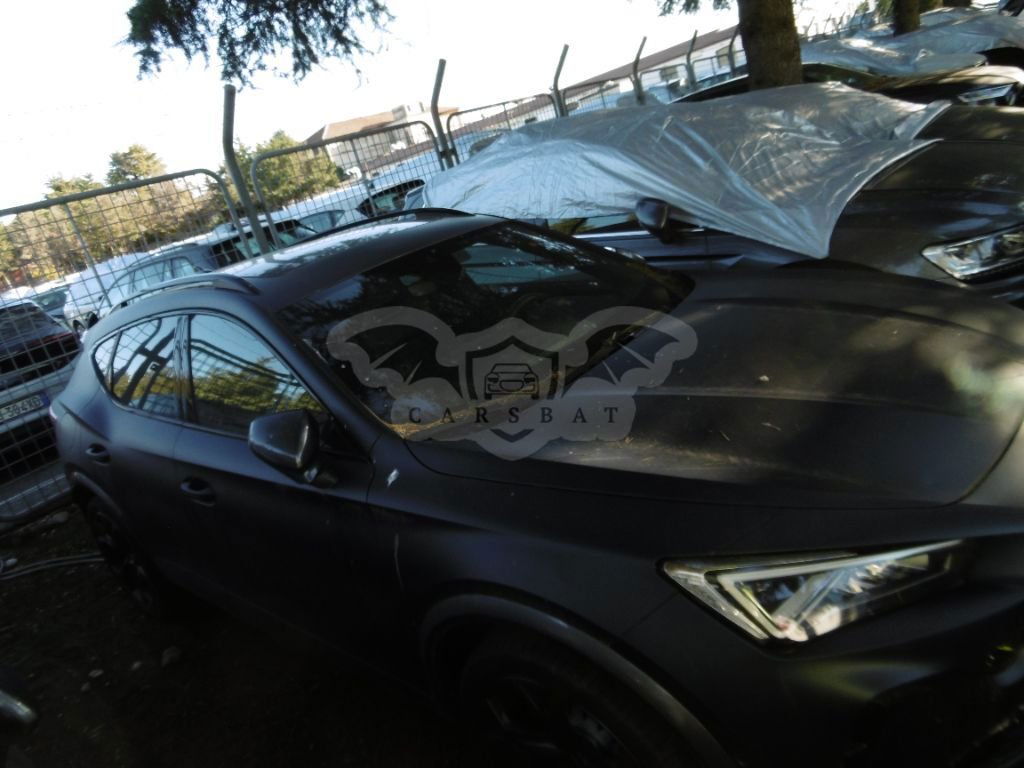 Cupra Formentor 2.0 TSI 2021