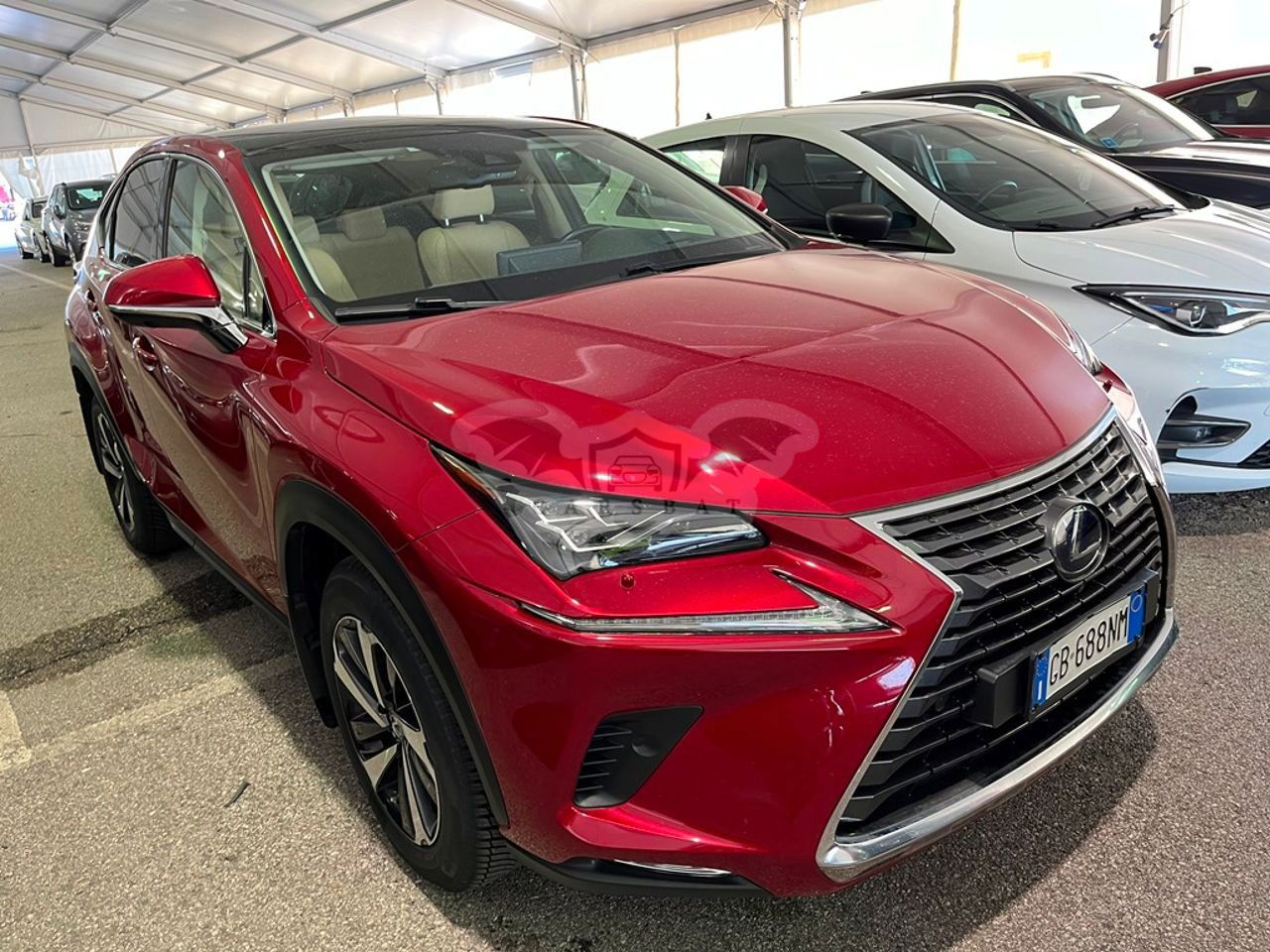 Lexus NX 300h Luxury 2020