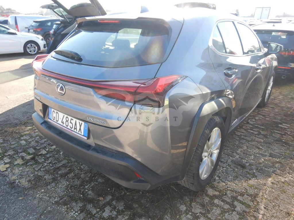 Lexus UX 250h Business 2020