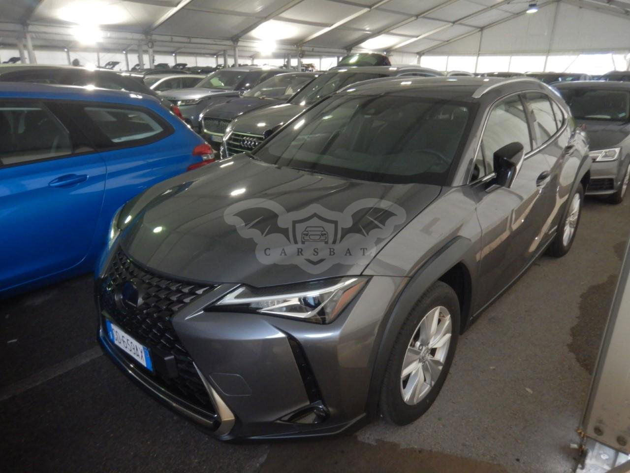 Lexus UX 250h Business 2020