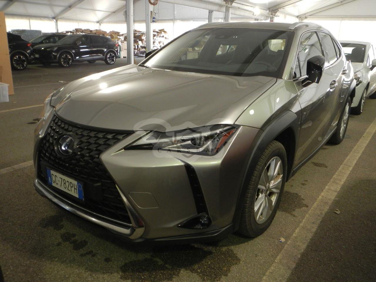 Lexus UX 250h Business 2020
