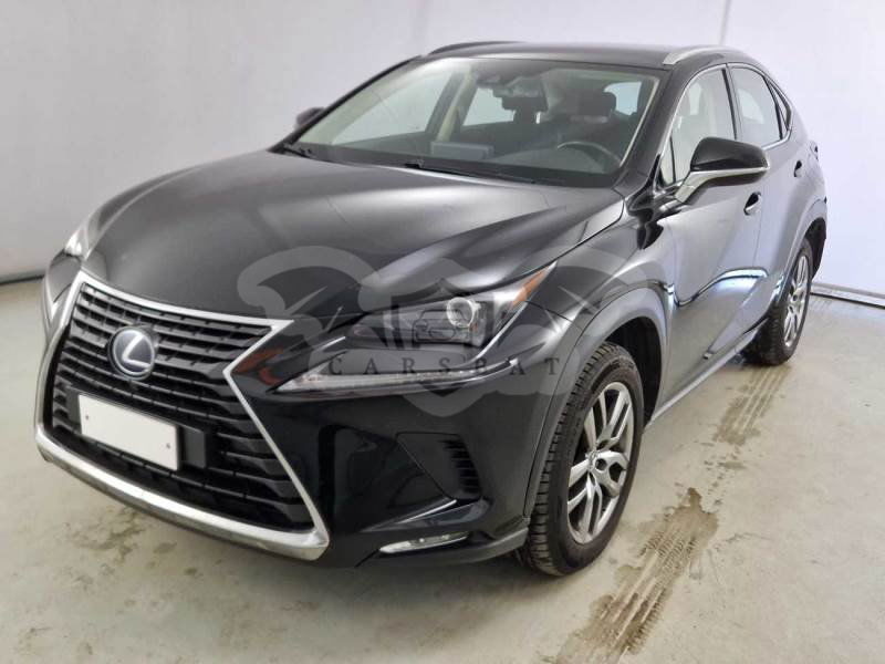 Lexus NX 300h Business 2020