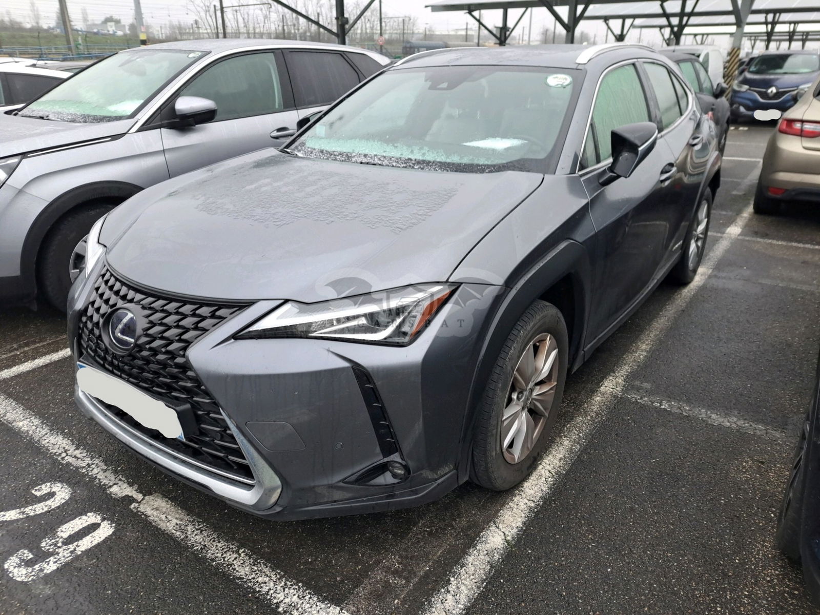 Lexus UX 250h Business 2020