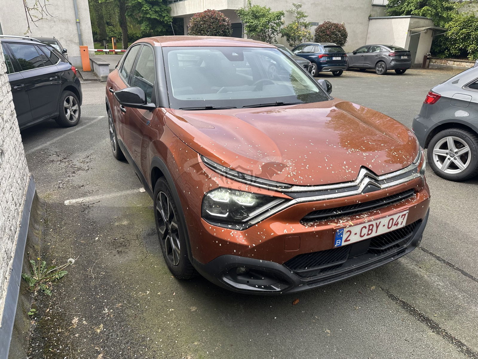 Citroën E-C4 50 kWh Feel 2022