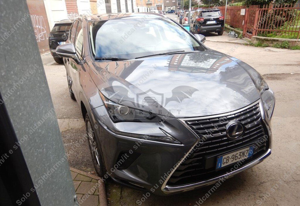 Lexus NX 2020