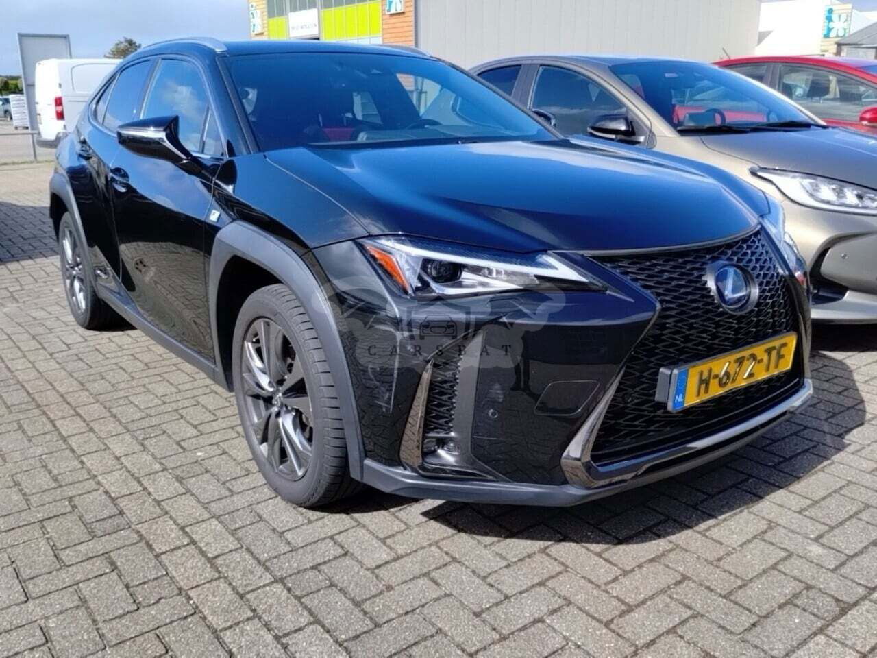 Lexus UX 250h Sport Line 2020