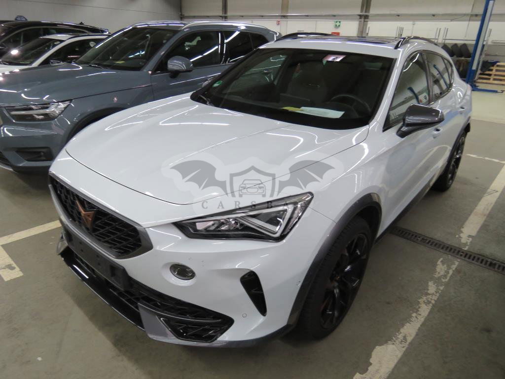 Cupra Formentor 2.0 TSI 2022