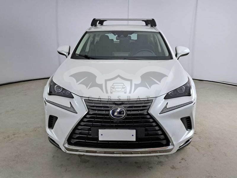 Lexus NX Business 2020