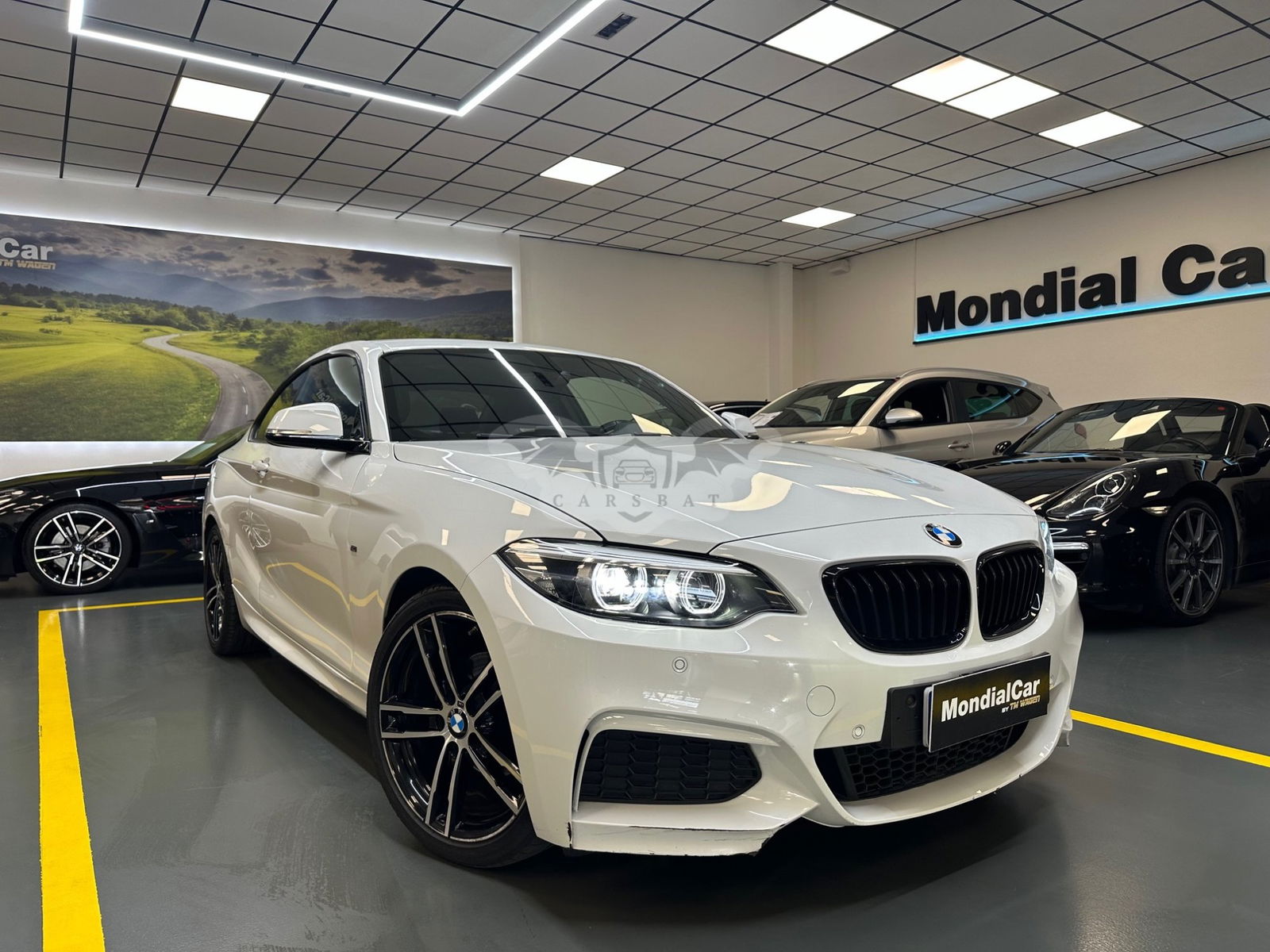 BMW 2 Series Coupé 218i Advantage 2021