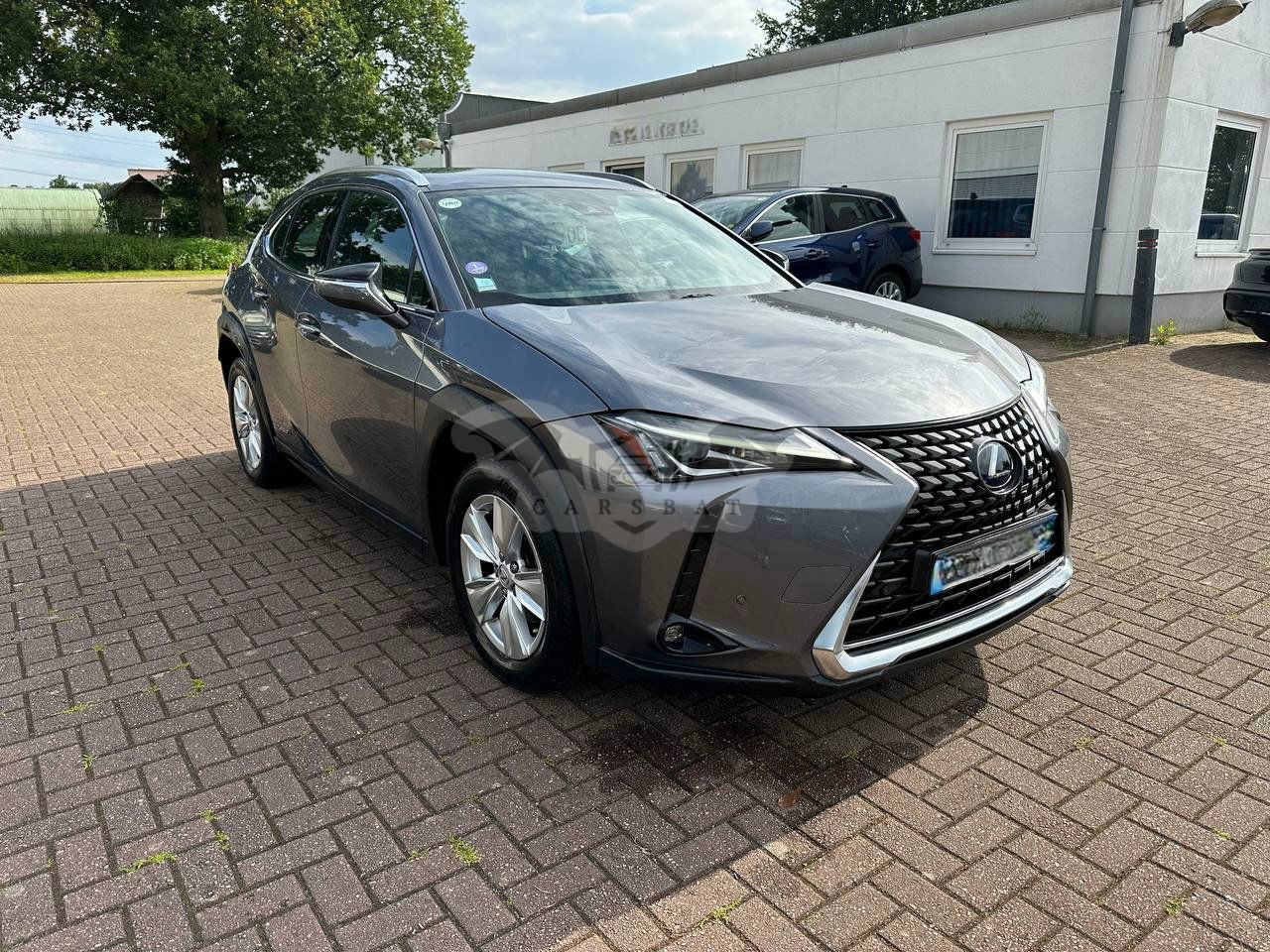 Lexus UX 250h Business 2020