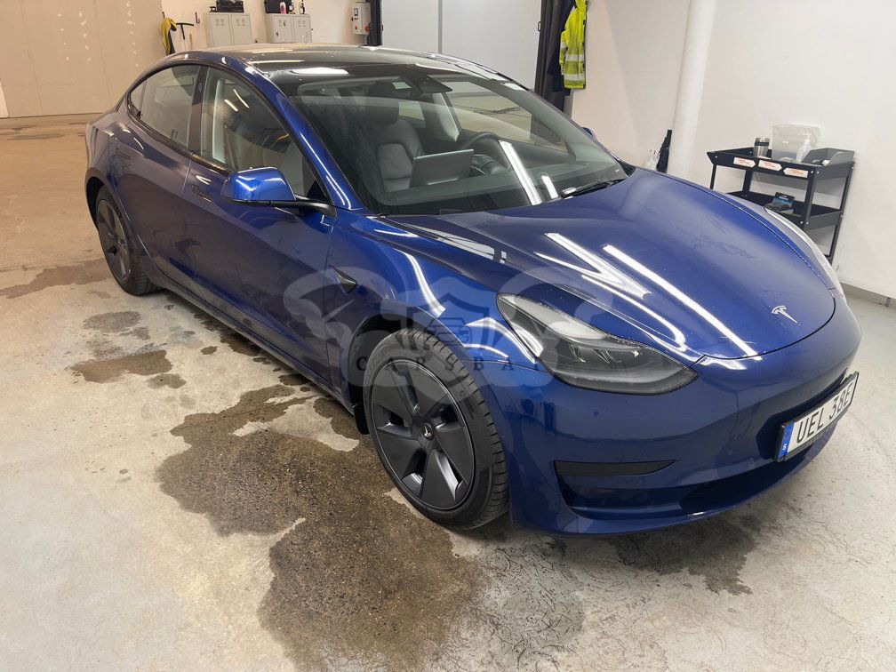 Tesla Model 3 Standard Range 2021