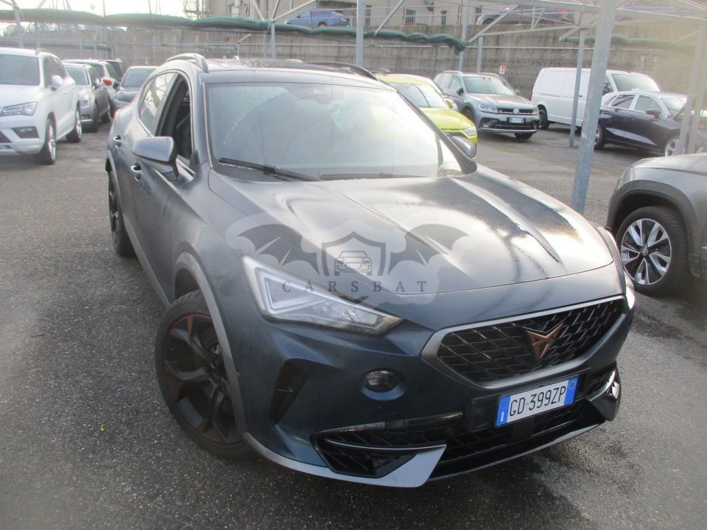 Cupra Formentor 2.0 TSI 2020
