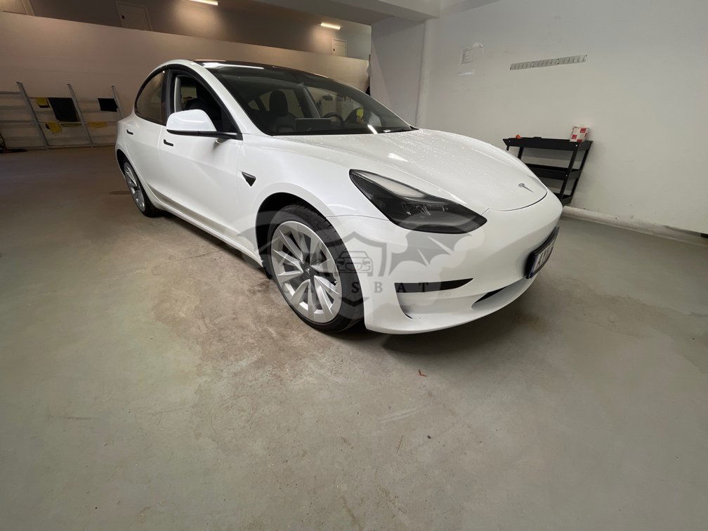 Tesla Model 3 Standard Range 2021