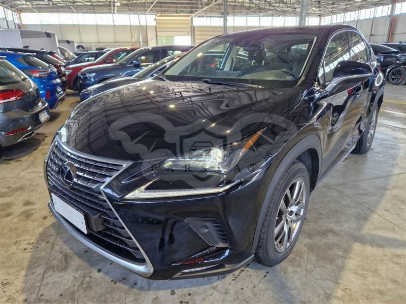 Lexus NX 300h 2020