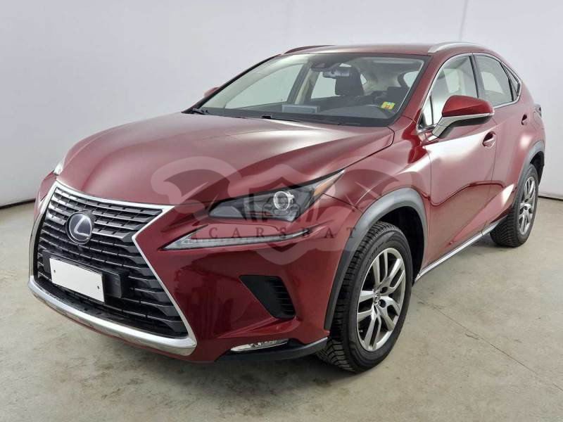 Lexus NX 300h Business 2020