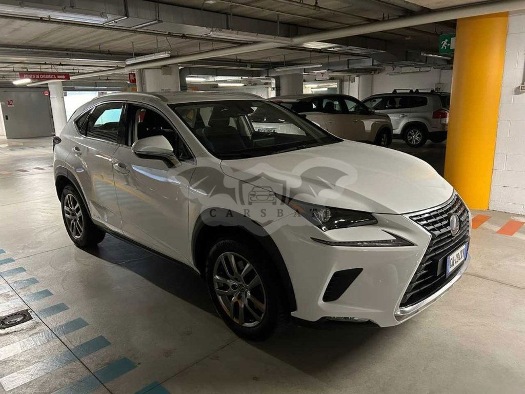 Lexus NX Business 2020