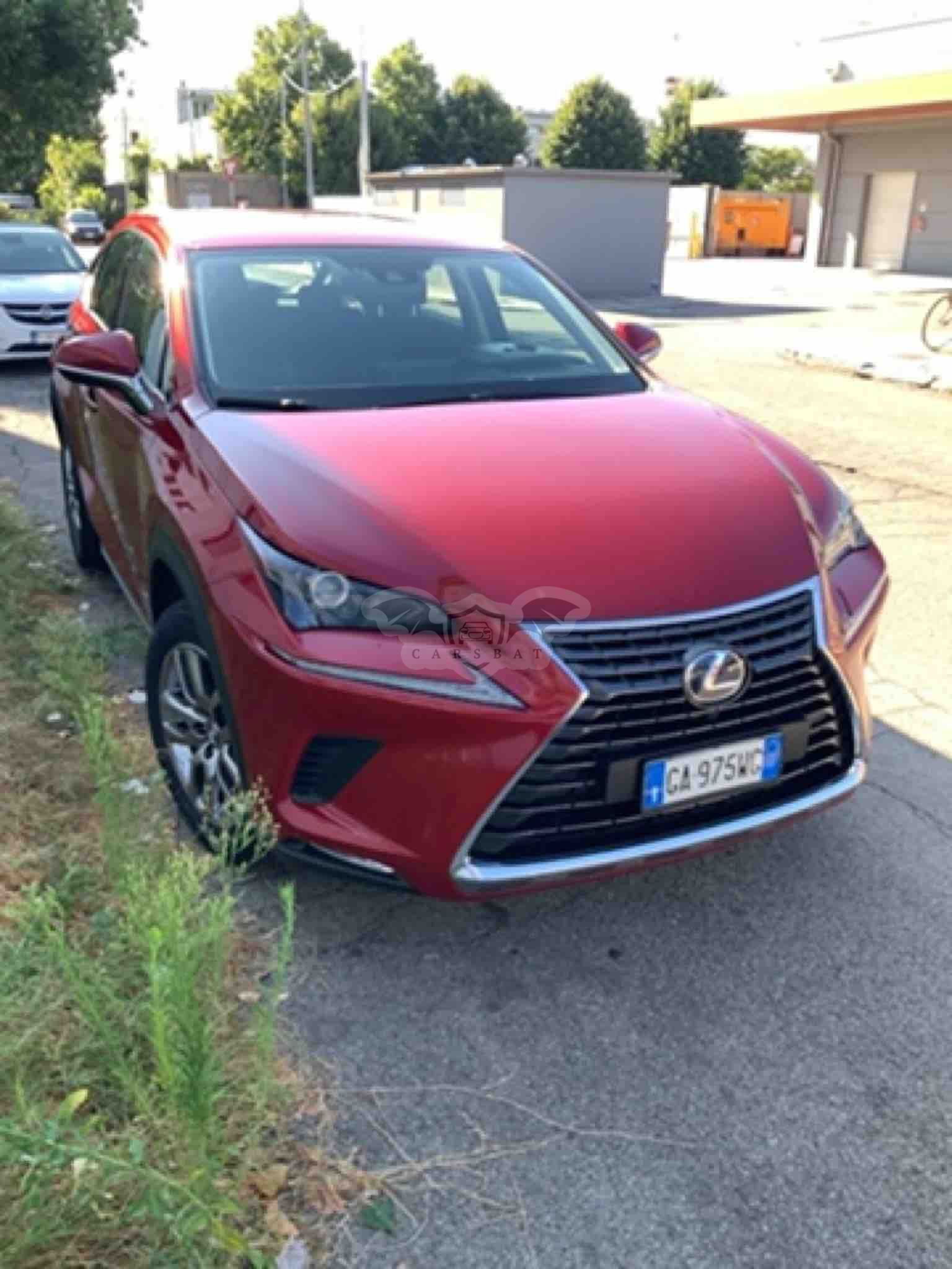 Lexus NX 300h Business 2020
