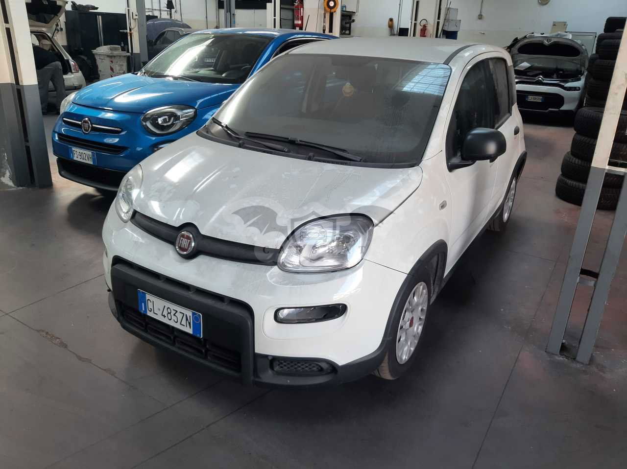 Fiat Panda 1.0 2022