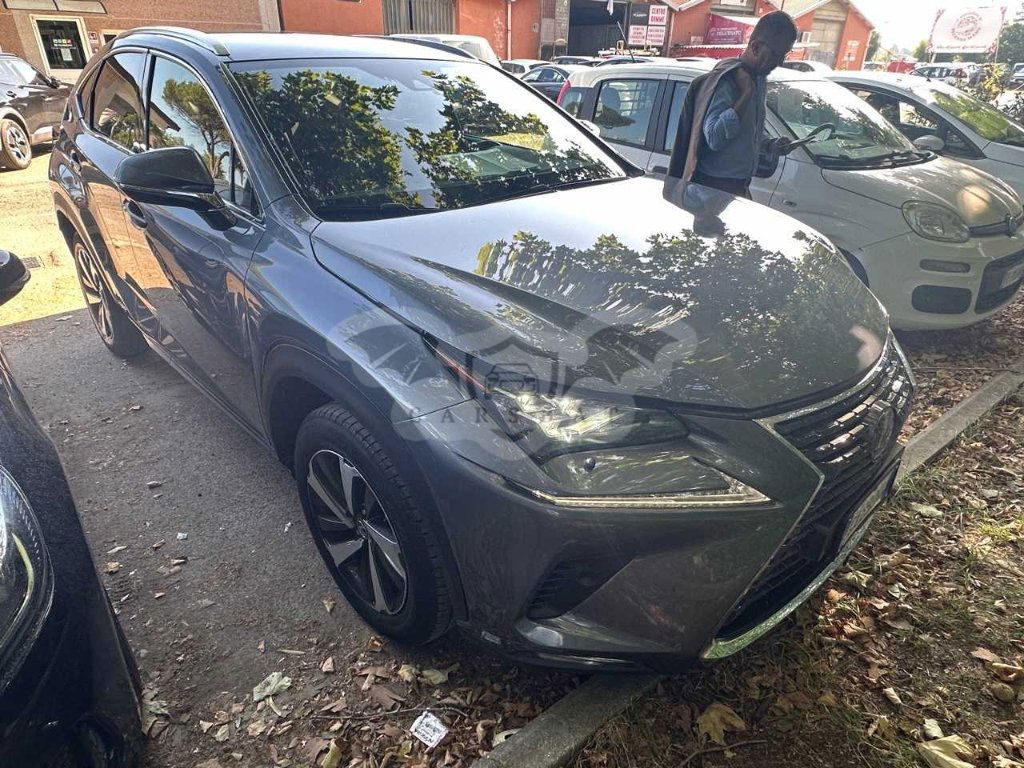 Lexus NX Luxury 2020