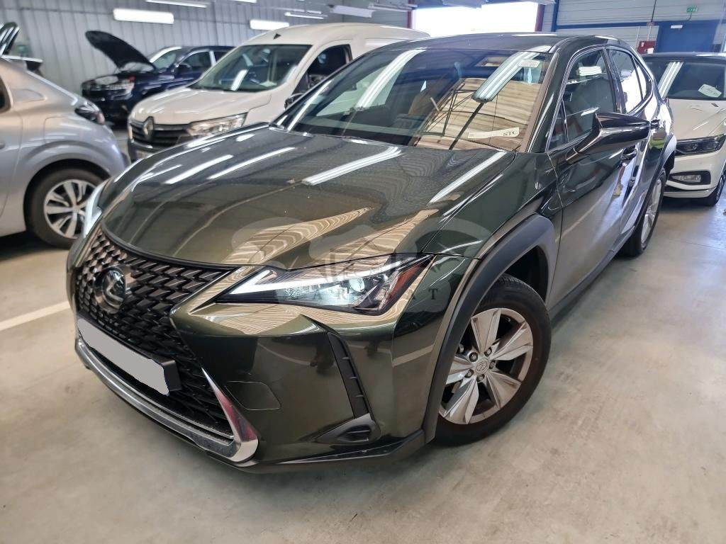 Lexus UX 250h Business 2024