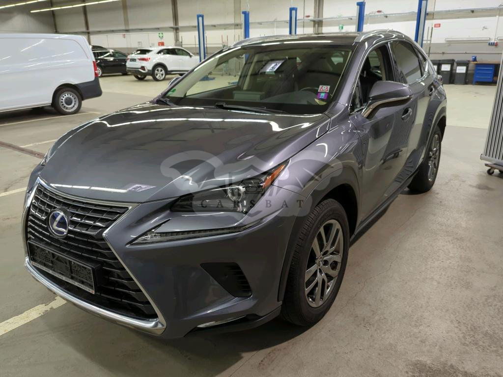 Lexus NX 300h 2020