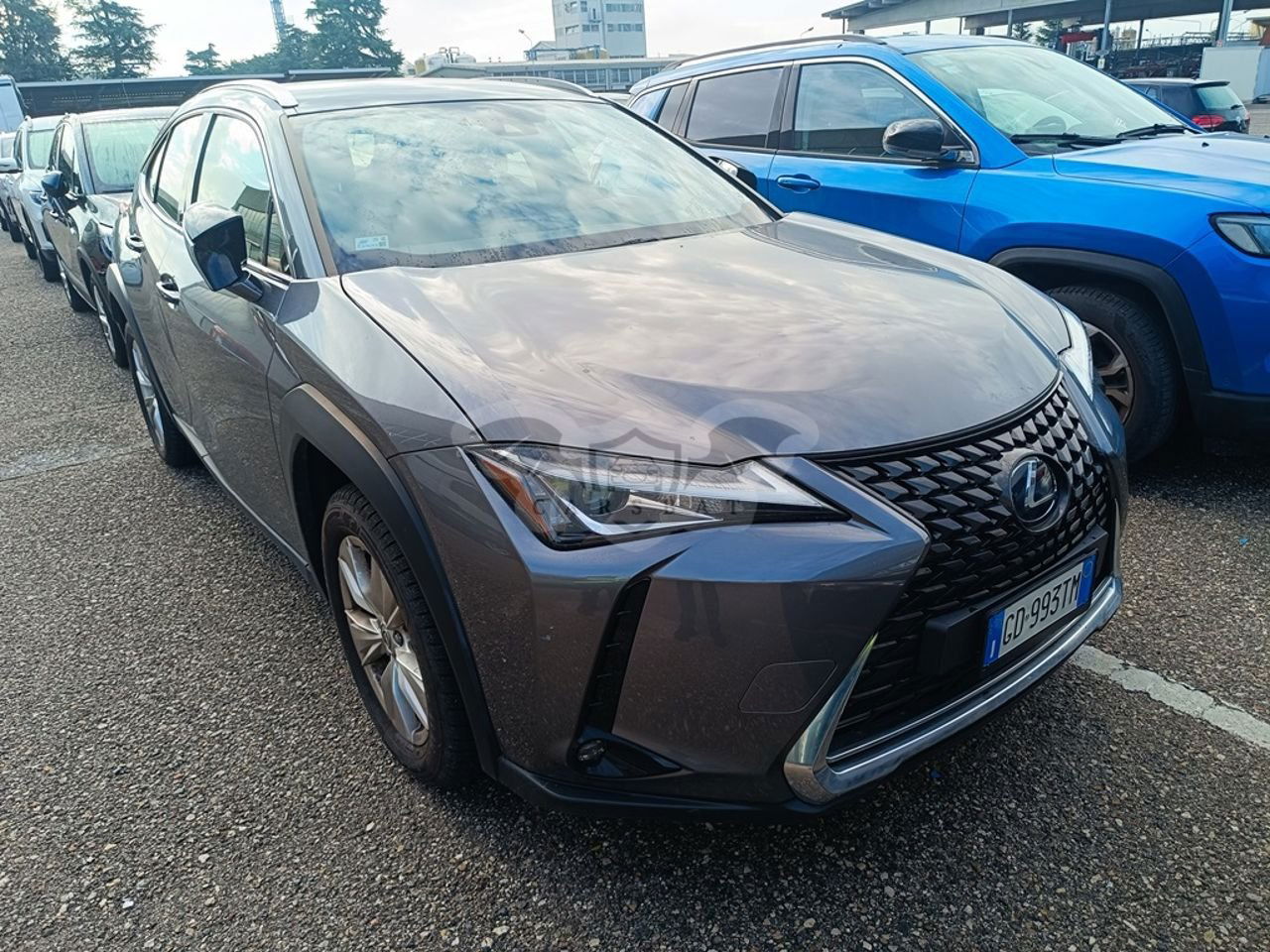 Lexus UX 250h Business 2020