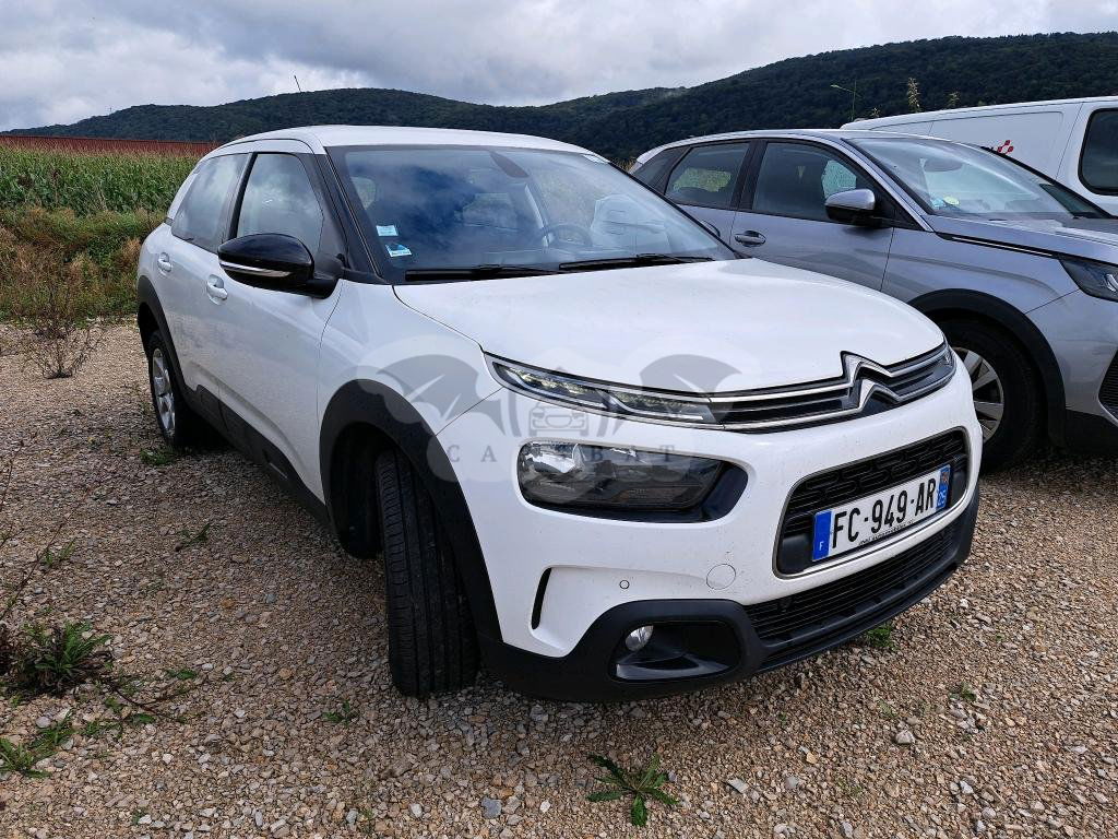 Citroën C4 Cactus Feel Business 2018