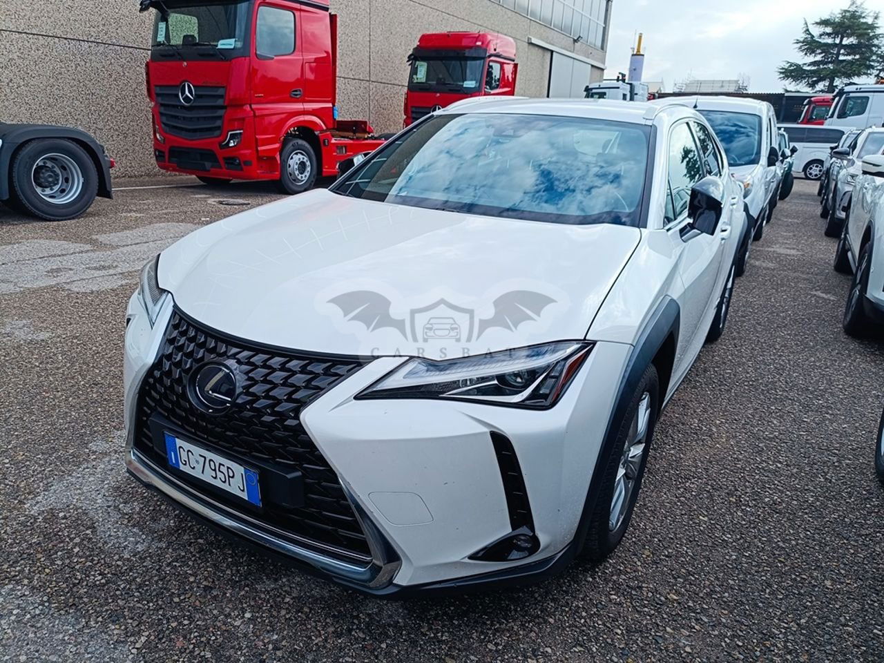Lexus UX 250h Business 2020
