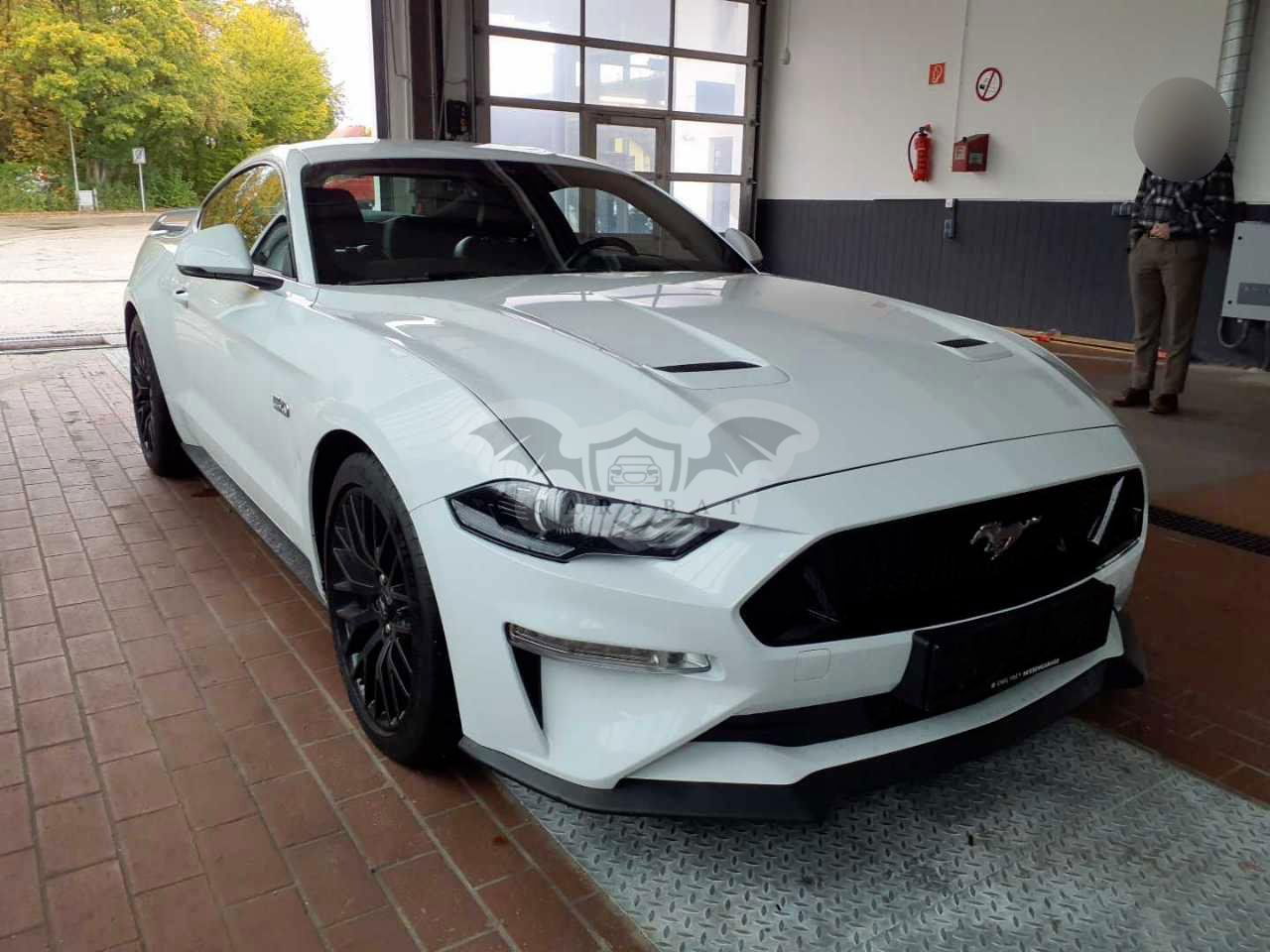 Ford Mustang 5.0 2021