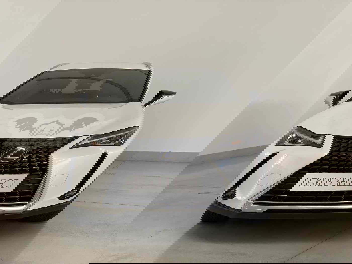 Lexus UX 250h Executive 2020