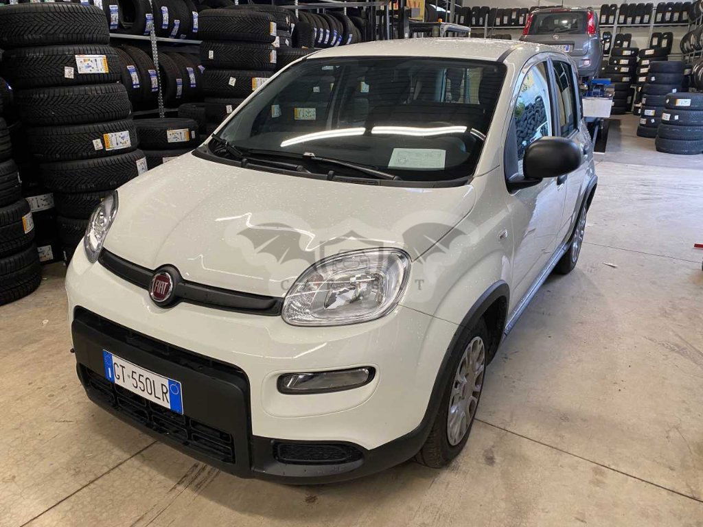 Fiat Panda 1.0 2024