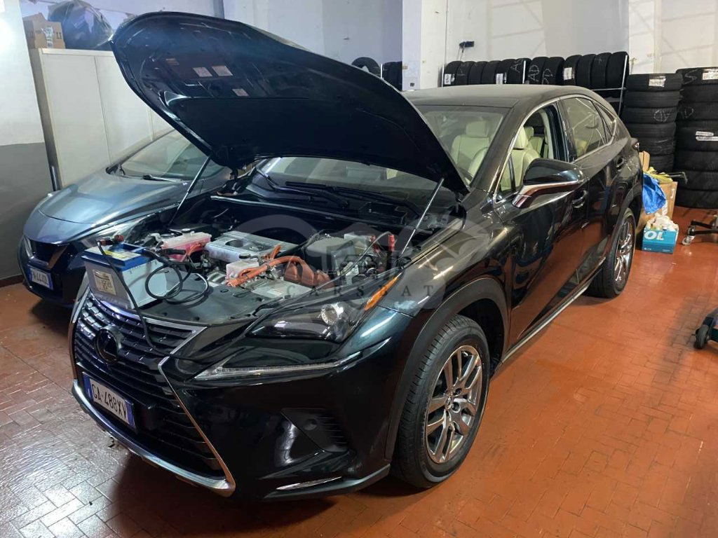 Lexus NX 2020
