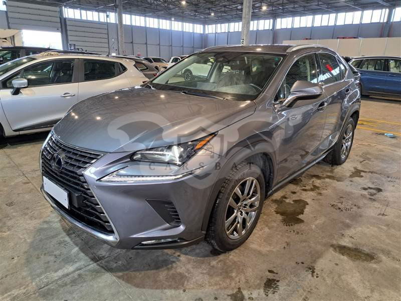 Lexus NX 300h Business 2020