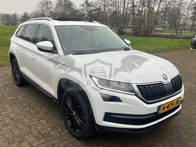 Skoda Kodiaq 1.5 TSI Business 2020
