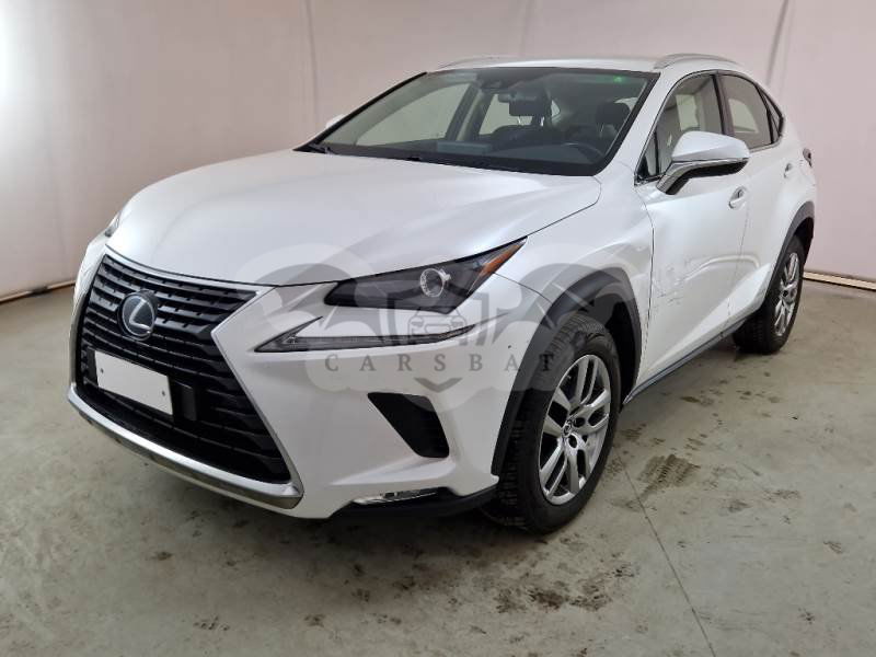 Lexus NX 300h Business 2020