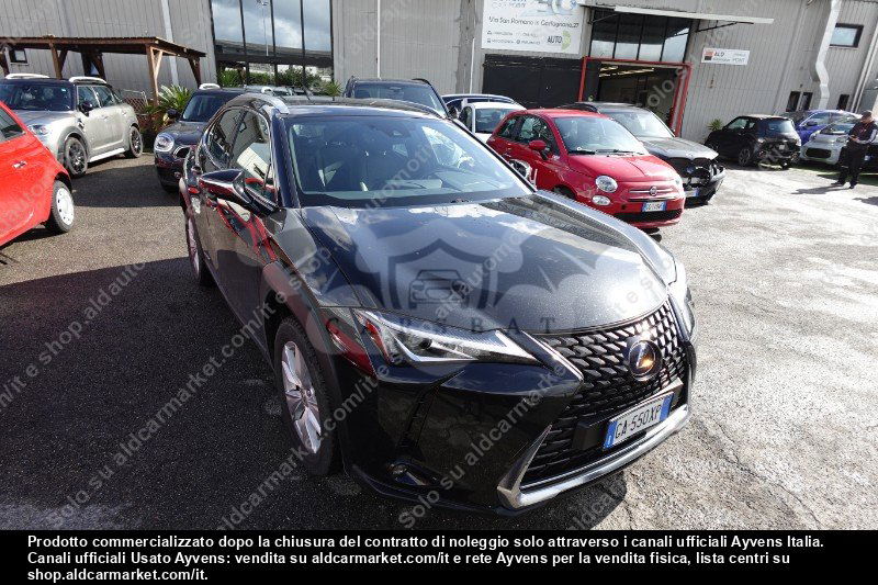 Lexus UX Business 2020