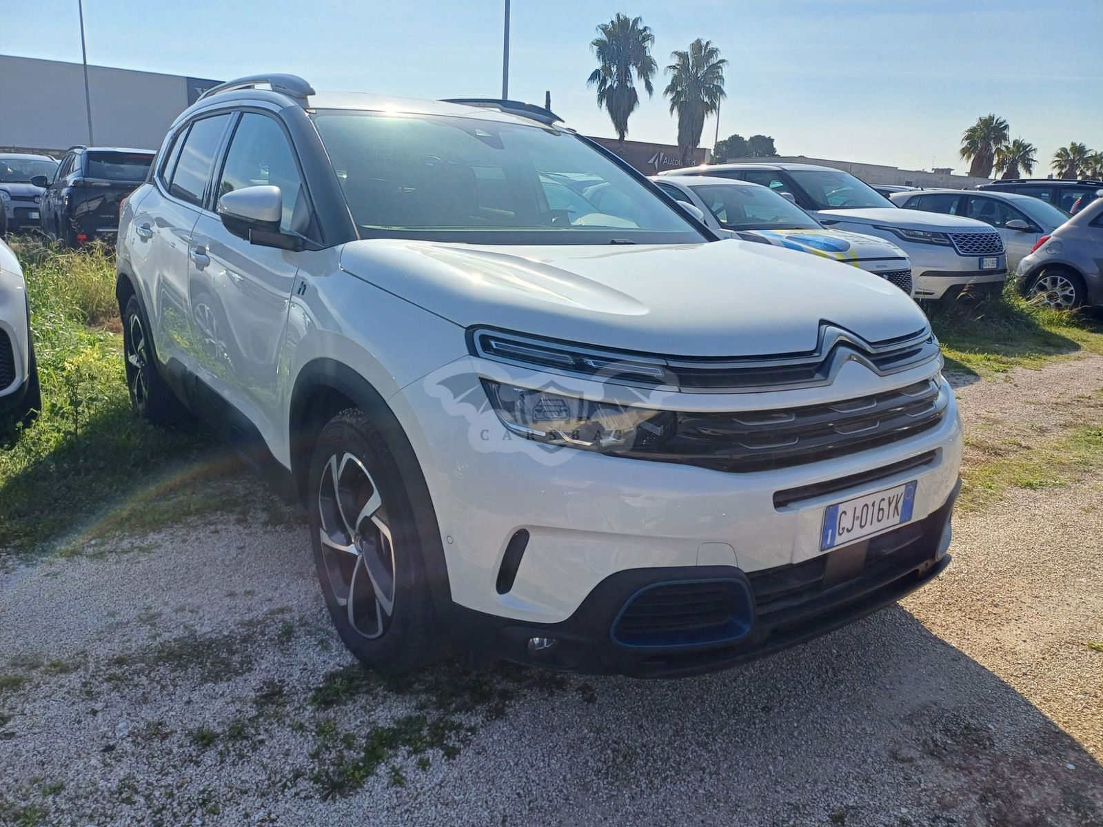 Citroën C5 Aircross 1.6 SHINE 2022