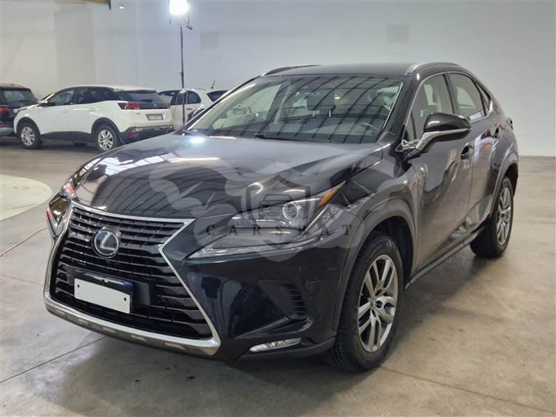 Lexus NX 300h Business 2020