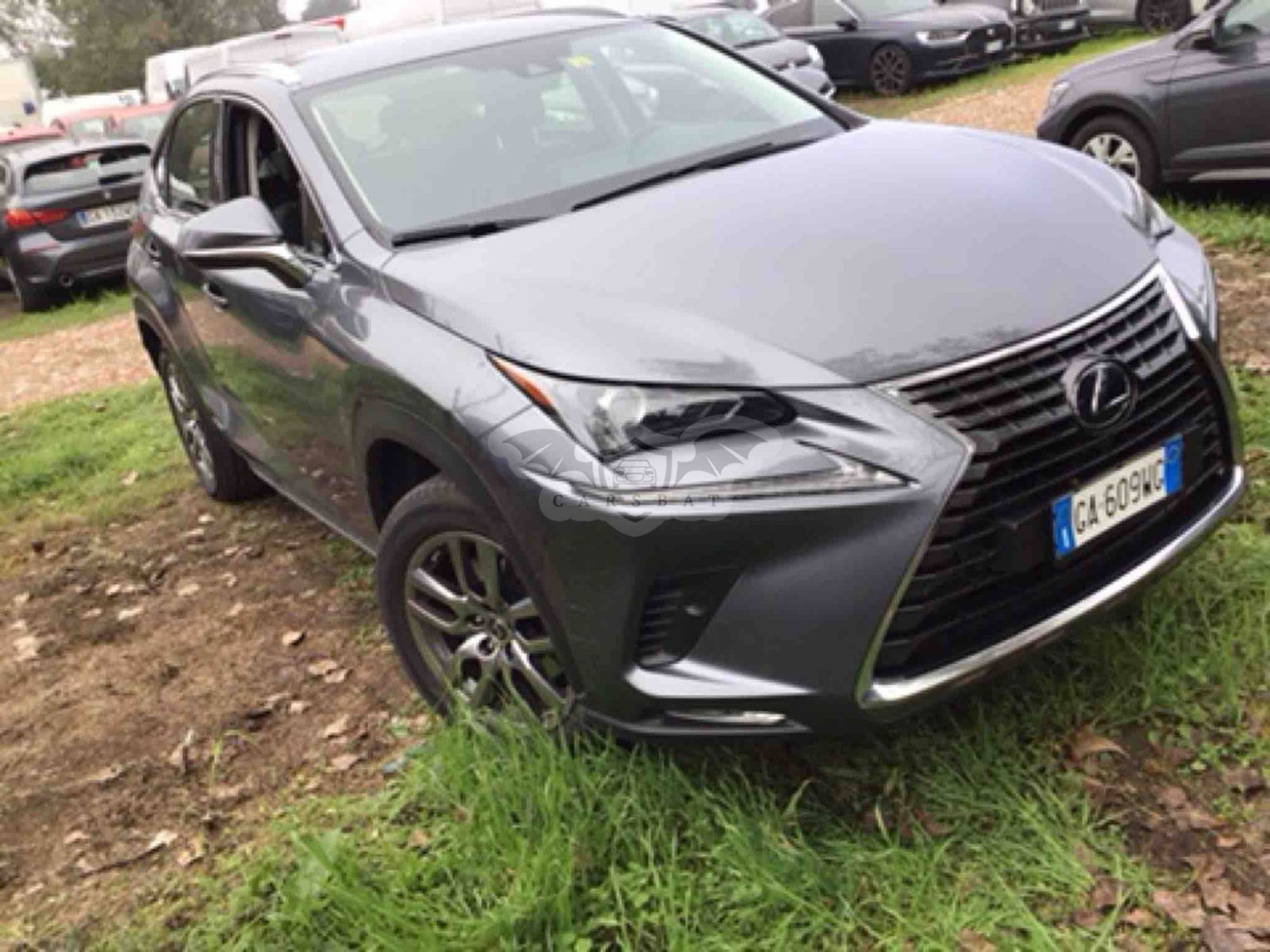 Lexus NX 300h 2020