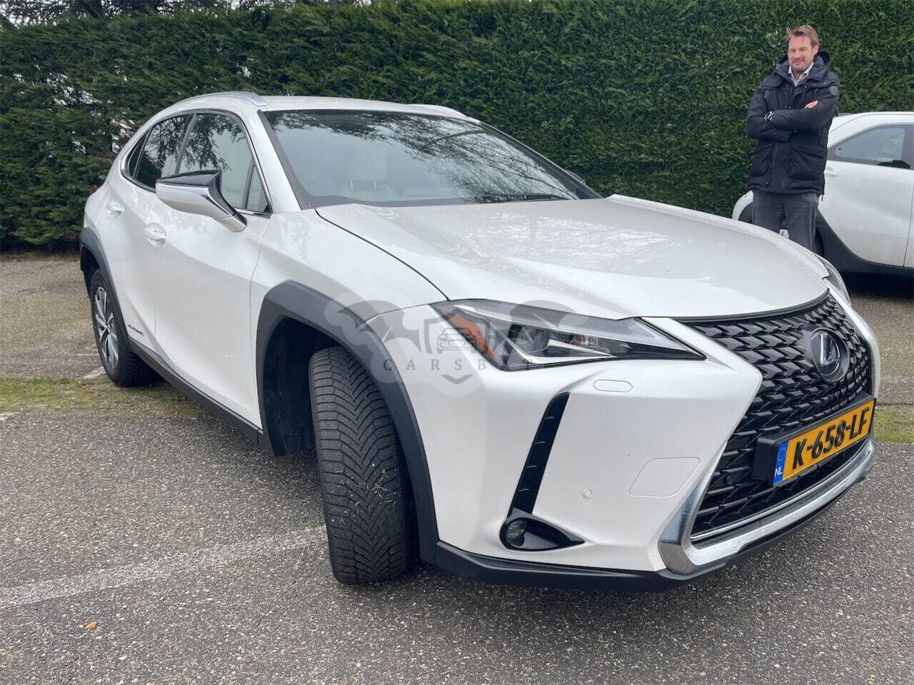 Lexus UX 300e Luxury 2020