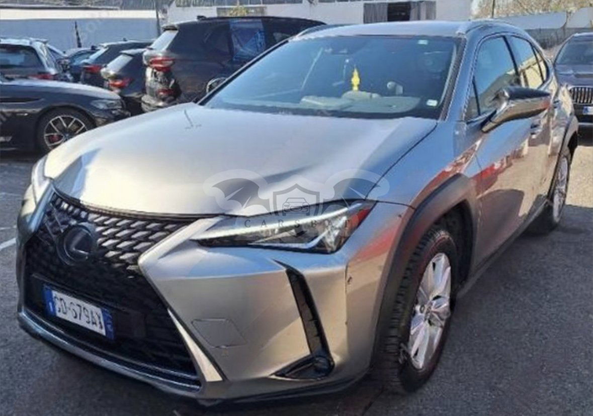 Lexus UX 250h Business 2020