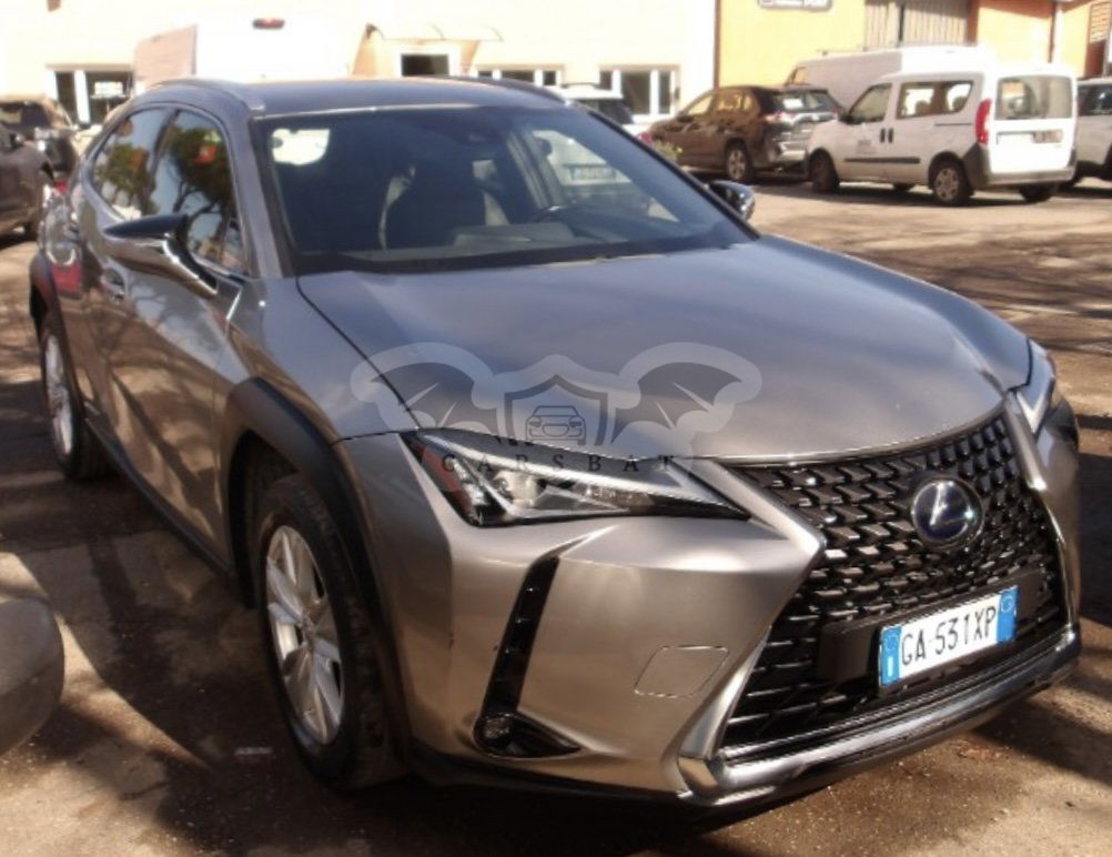 Lexus UX 250h Business 2020