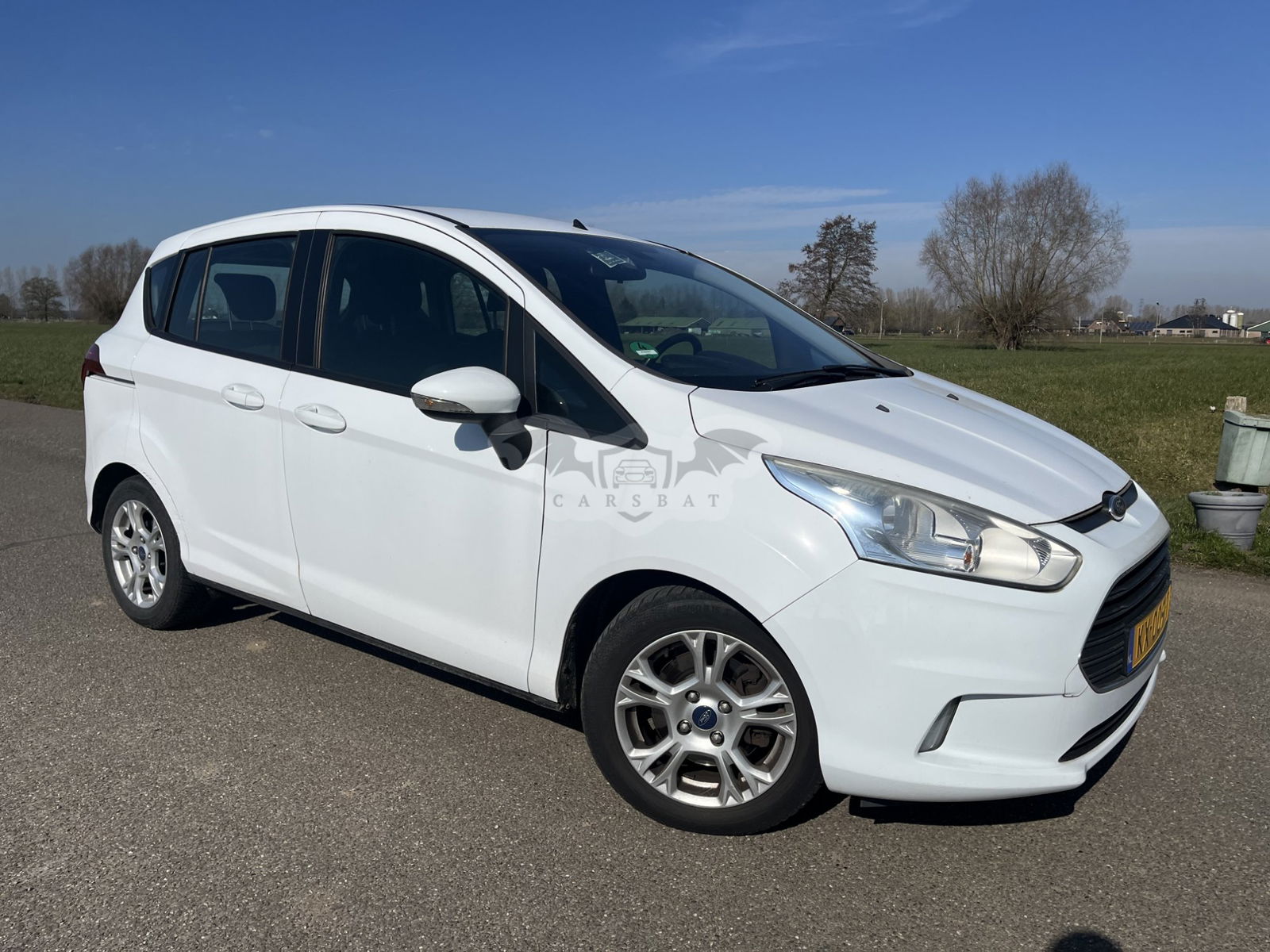 Ford B-Max 1.5 TDCI Business 2013
