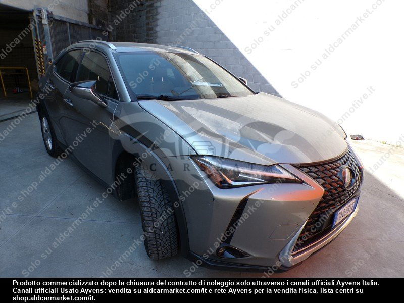 Lexus UX Business 2020
