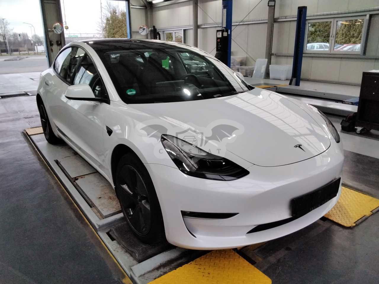 Tesla Model 3 Business 2022