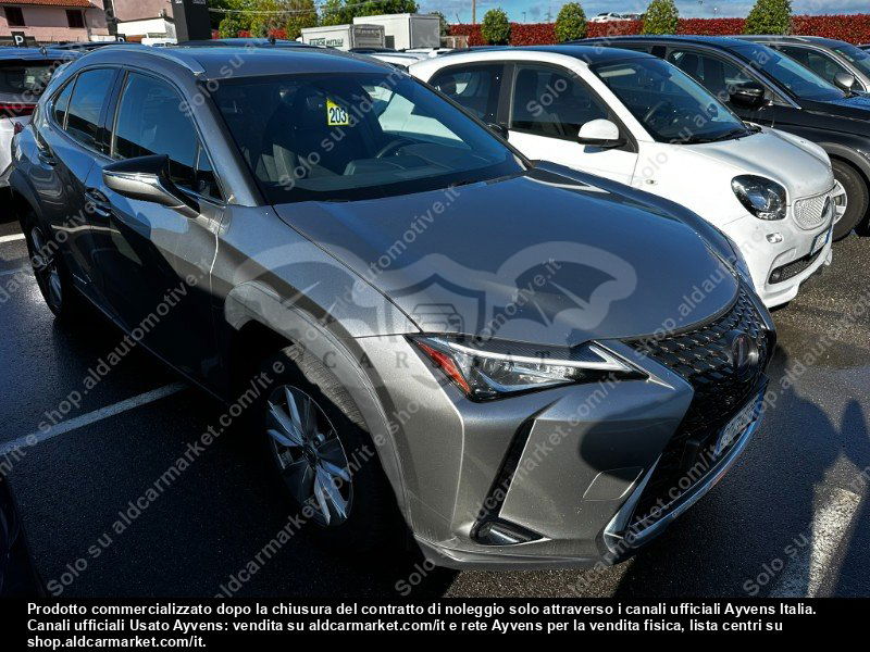 Lexus UX Business 2020
